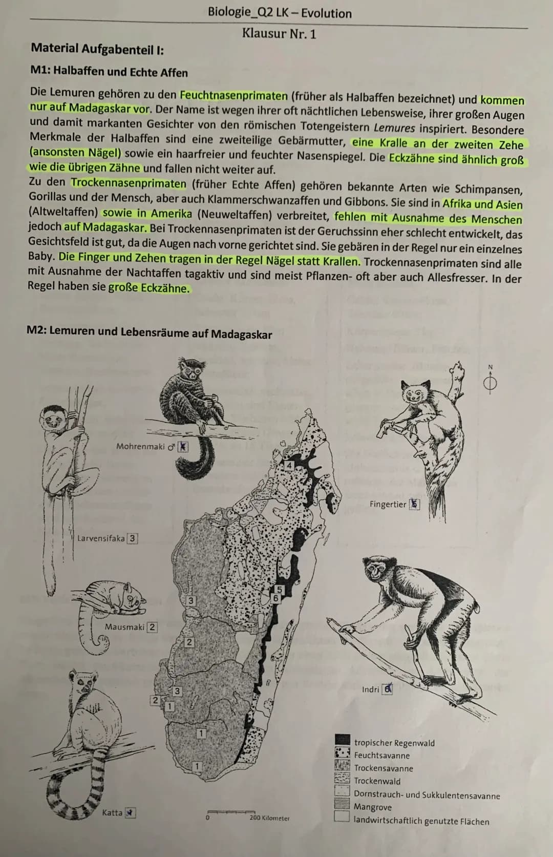 Evolutionstheorie: Lamarck vs. Darwin einfach erklärt mit Beispielen