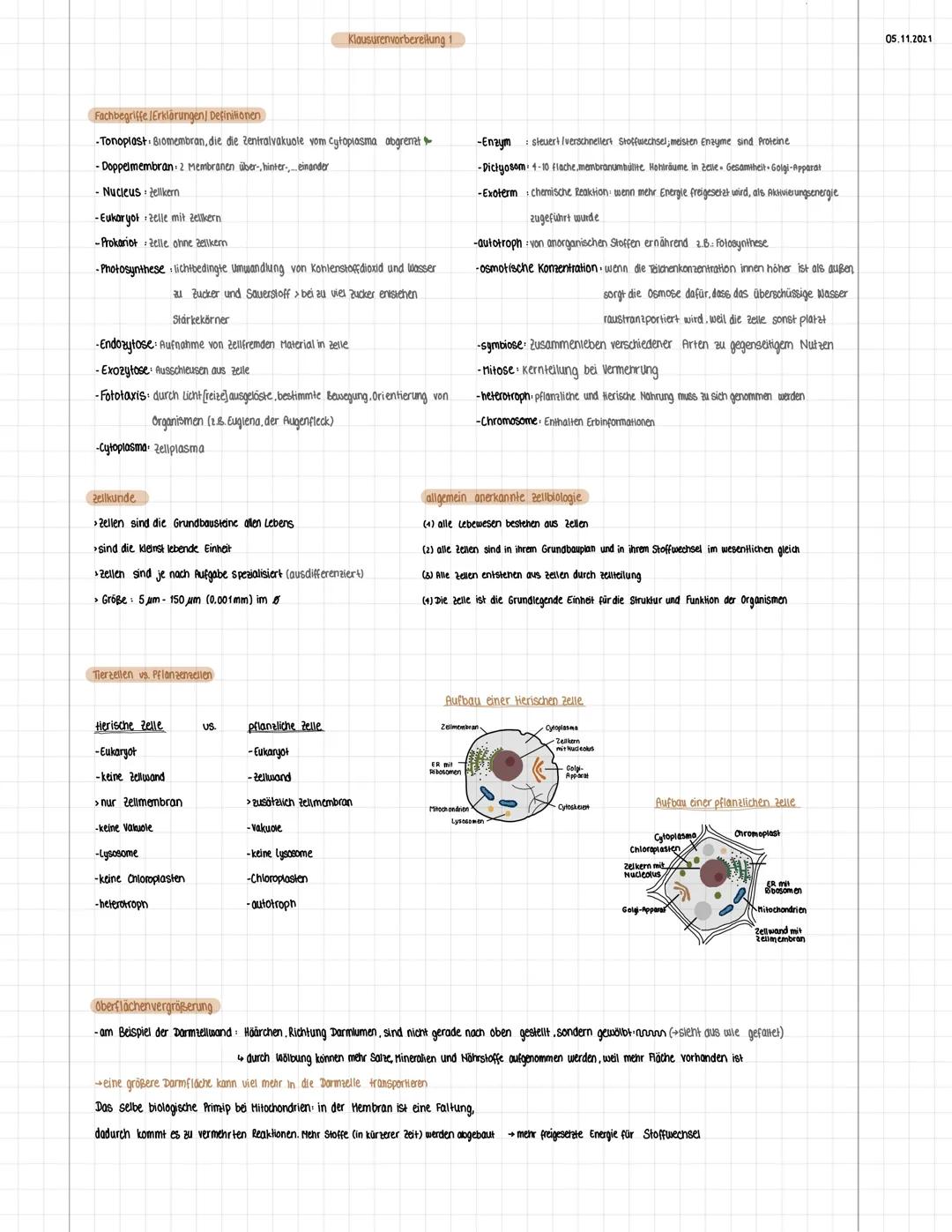 Lernzettel Cytologie - Zellkunde einfach erklärt