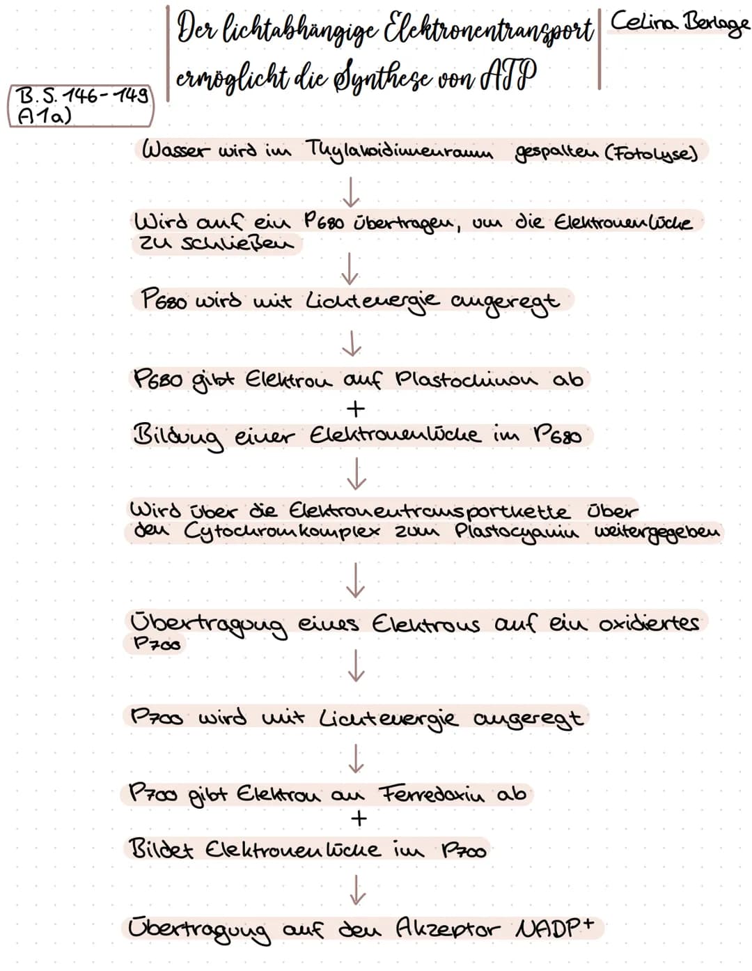 B.S. 146-149
A1a)
Der lichtabhängige Elehtronentransport Celina Berlage
ermöglicht die Synthese von ATP
Wasser wird im Thylakoidinnenraum ge