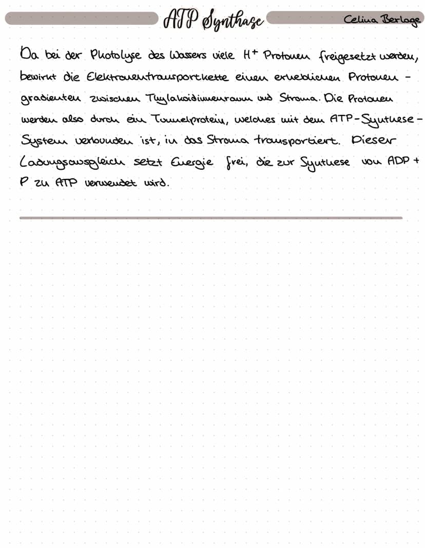 B.S. 146-149
A1a)
Der lichtabhängige Elehtronentransport Celina Berlage
ermöglicht die Synthese von ATP
Wasser wird im Thylakoidinnenraum ge