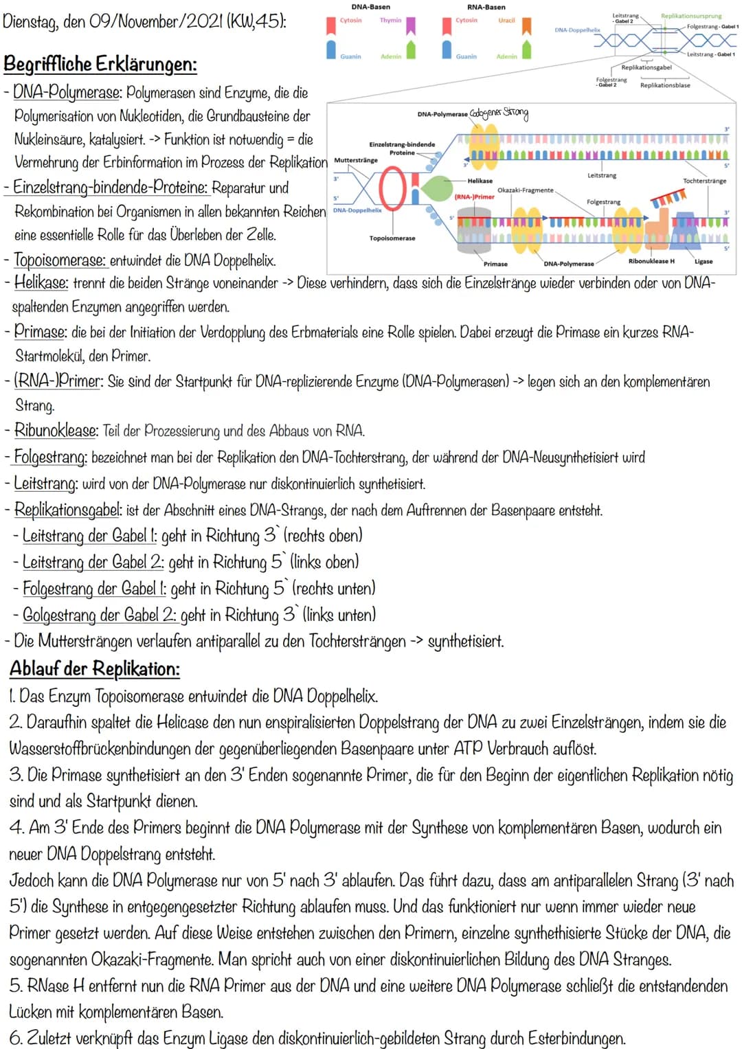 Dienstag, den 09/November/2021 (KW,45):
Begriffliche Erklärungen:
-DNA-Polymerase: Polymerasen sind Enzyme, die die
Polymerisation von Nukle