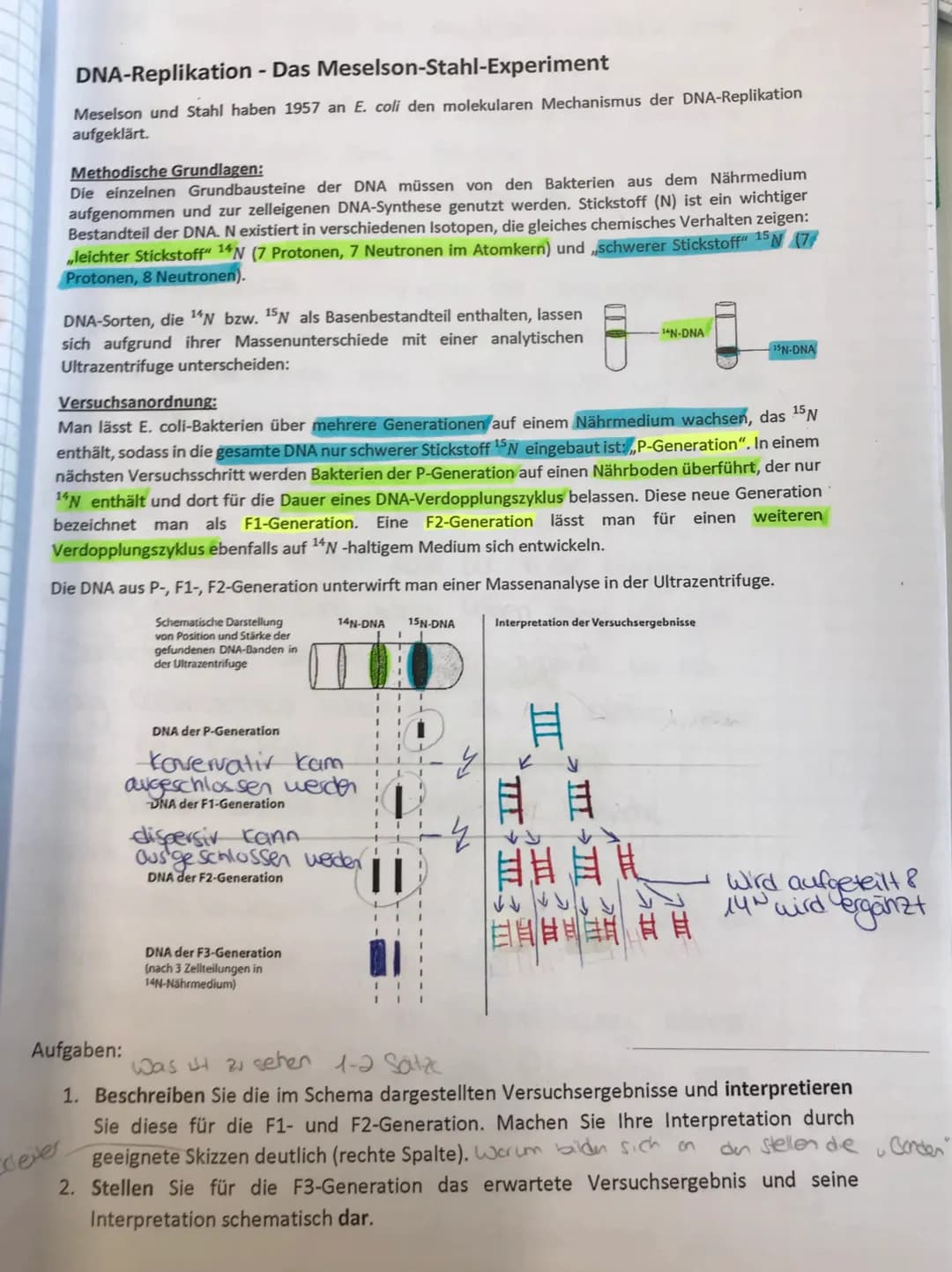 Dienstag, den 09/November/2021 (KW,45):
Begriffliche Erklärungen:
-DNA-Polymerase: Polymerasen sind Enzyme, die die
Polymerisation von Nukle