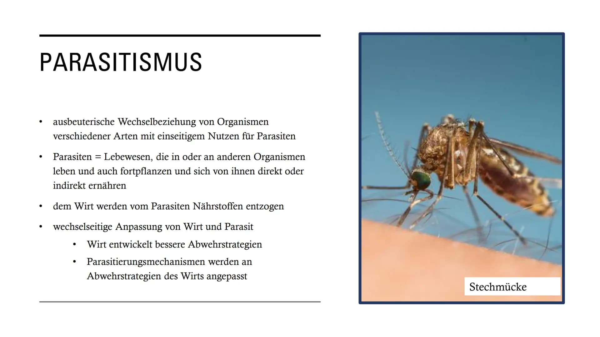 DIE
BEZIEHUNGEN
ZWISCHEN
LEBEWESEN GLIEDERUNG
• Interspezifische Beziehungen
Intraspezifische Beziehungen
●
• Symbiose
●
• Parasitismus
Prob