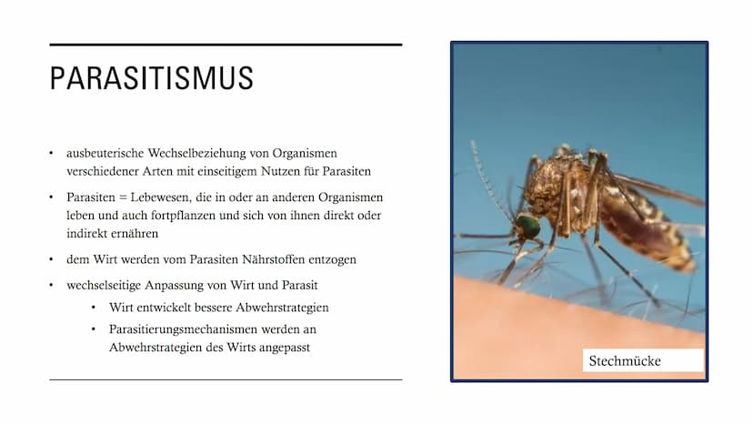 DIE
BEZIEHUNGEN
ZWISCHEN
LEBEWESEN GLIEDERUNG
• Interspezifische Beziehungen
Intraspezifische Beziehungen
●
• Symbiose
●
• Parasitismus
Prob