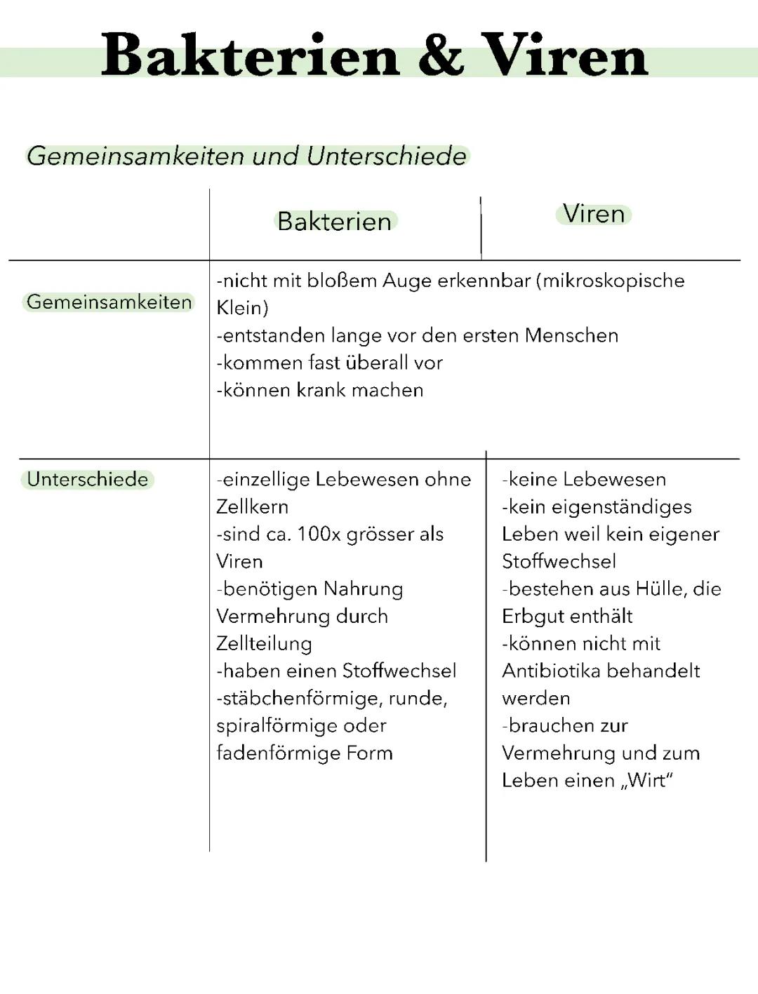 Bakterien und Viren 