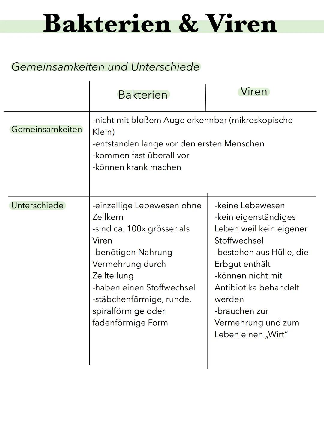 Bakterien & Viren
Gemeinsamkeiten und Unterschiede
Gemeinsamkeiten Klein)
Unterschiede
Bakterien
-nicht mit bloßem Auge erkennbar (mikroskop