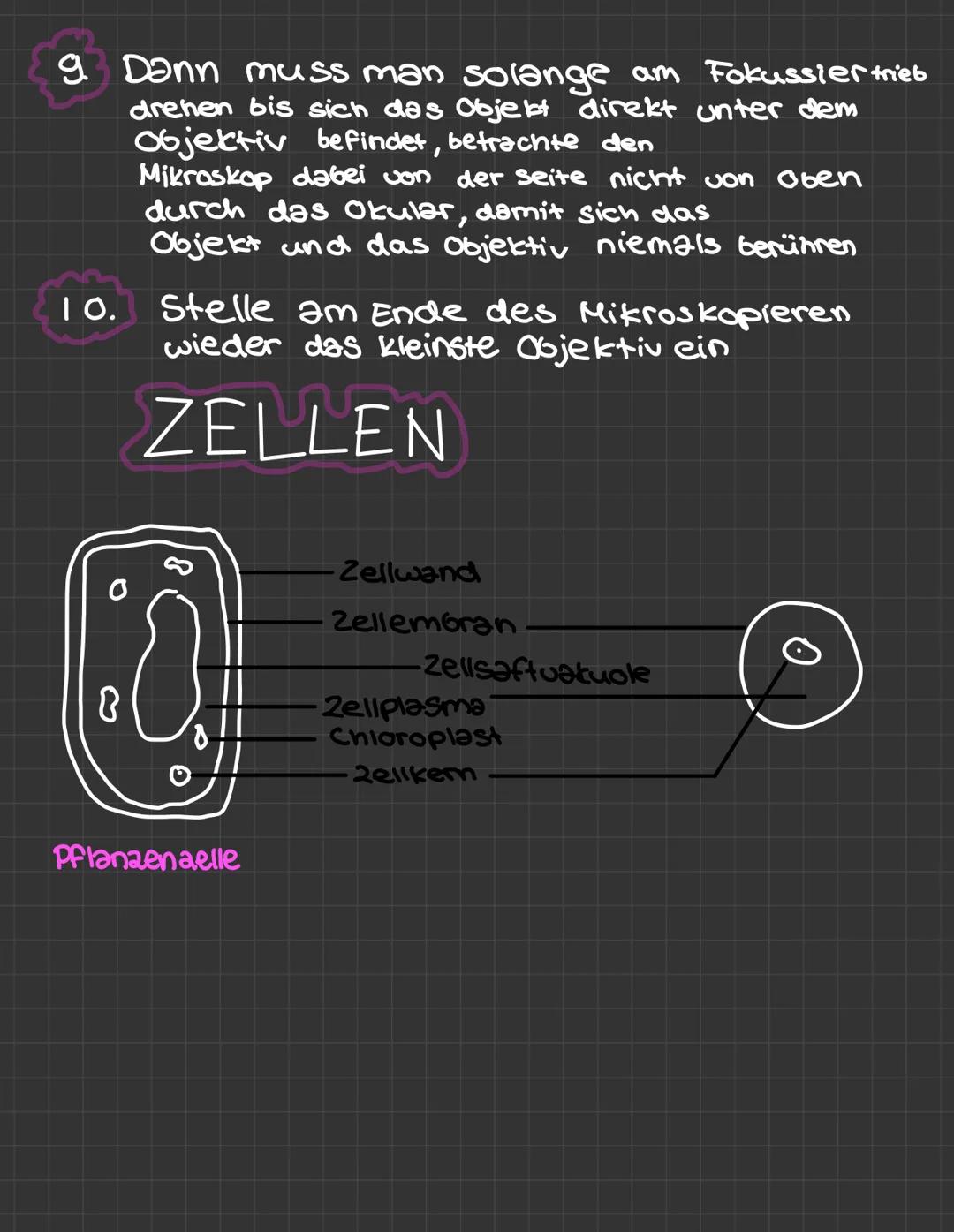 Stativ
Grobtrieb
Feintrieb.
Mikroskop.
fuß
لمنه
know
by Erica
Okular
-Tubus
Objektiv-
revolver
· Objektiv
objekt-
tisch
kondensor
Blendenheb