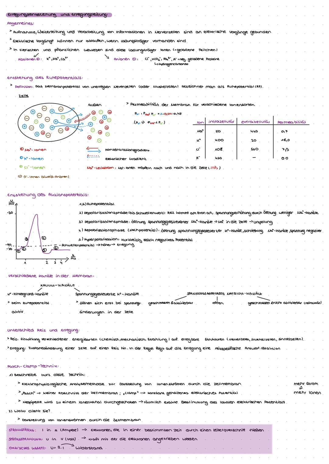 Natrium-kalium-Pumpe.
> pumt lonen gegen ein steiles konzentrationsgefälle
> Konformationsänderung
> mit Hilfe von ATP → Phosphorylierung
Er