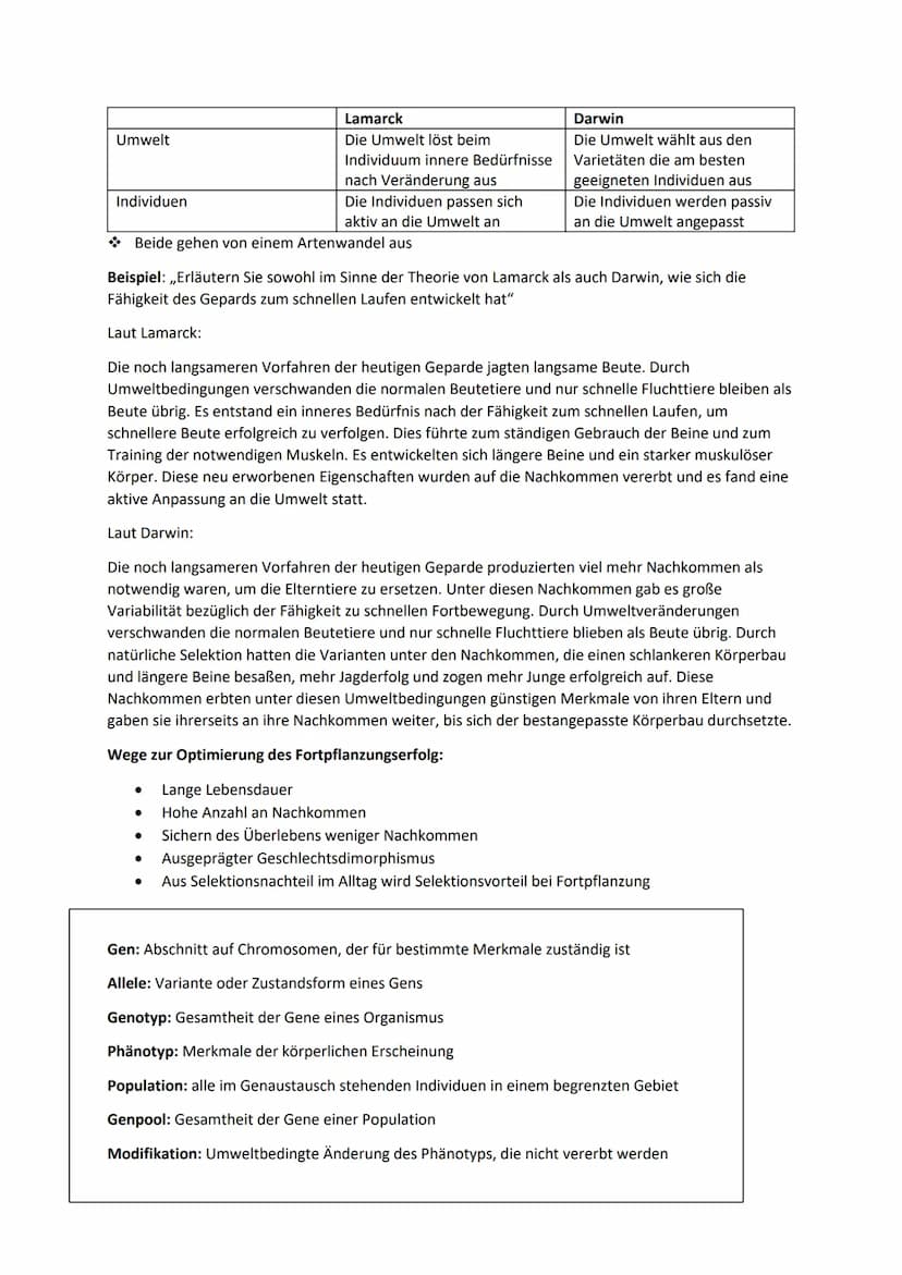 Evolution
Unter Evolution versteht man die stammesgeschichtliche Entwicklung der Lebewesen. Die Vielfalt der
Organismen auf der Erde ist Erg