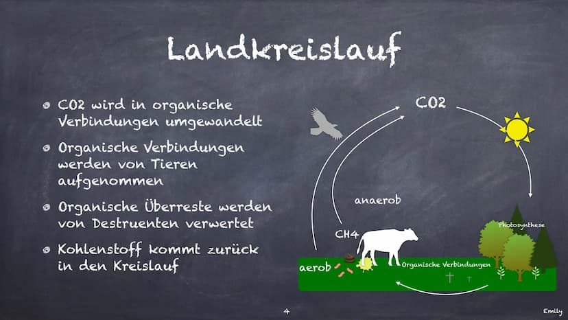Der Kohlenstoffkreislauf
Was das ist und wofür
er
zuständig ist Inhaltsverzeichnis
Kohlenstoff und sein
Vorkommen
Landkreislauf
• Wasserkrei