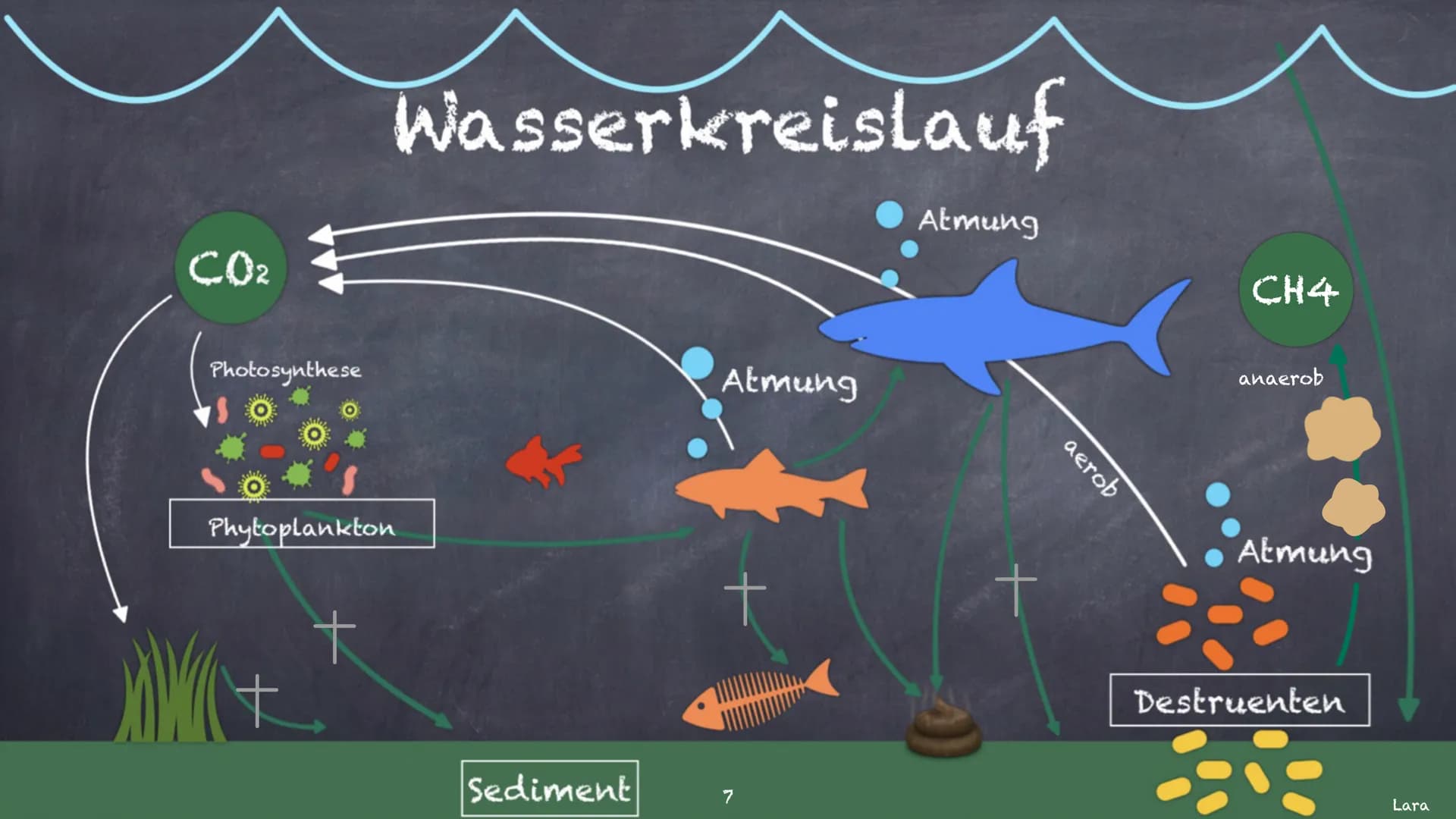 Der Kohlenstoffkreislauf
Was das ist und wofür
er
zuständig ist Inhaltsverzeichnis
Kohlenstoff und sein
Vorkommen
Landkreislauf
• Wasserkrei