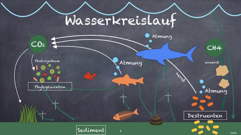 Der Kohlenstoffkreislauf
Was das ist und wofür
er
zuständig ist Inhaltsverzeichnis
Kohlenstoff und sein
Vorkommen
Landkreislauf
• Wasserkrei