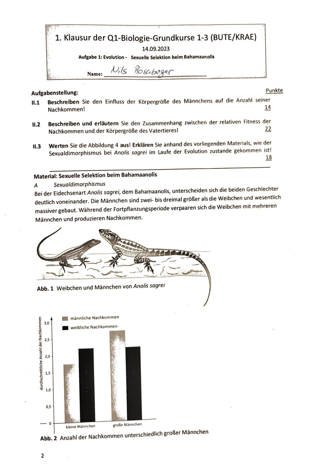 1. Klausur der Q1-Biologie-Grundkurse 1-3 (BUTE/KRAE)
14.09.2023
Aufgabe 1: Evolution Das,,Dreiecksverhältnis" der Paranuss
Nils
☐ Name:
Ros