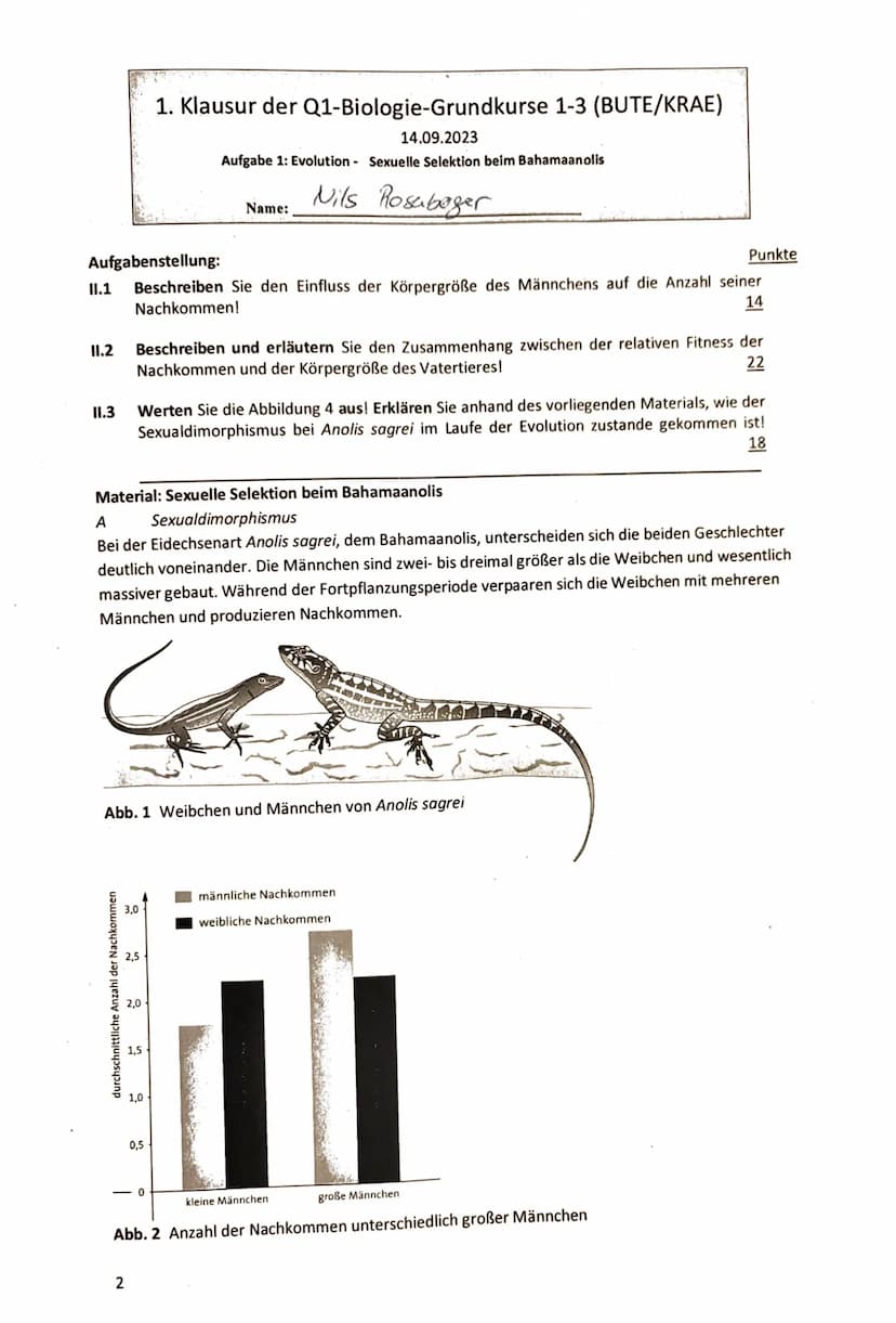 1. Klausur der Q1-Biologie-Grundkurse 1-3 (BUTE/KRAE)
14.09.2023
Aufgabe 1: Evolution Das,,Dreiecksverhältnis" der Paranuss
Nils
☐ Name:
Ros