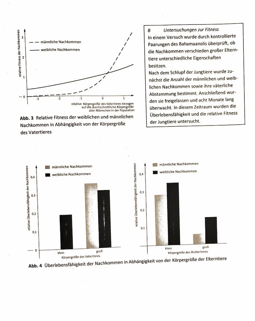 1. Klausur der Q1-Biologie-Grundkurse 1-3 (BUTE/KRAE)
14.09.2023
Aufgabe 1: Evolution Das,,Dreiecksverhältnis" der Paranuss
Nils
☐ Name:
Ros
