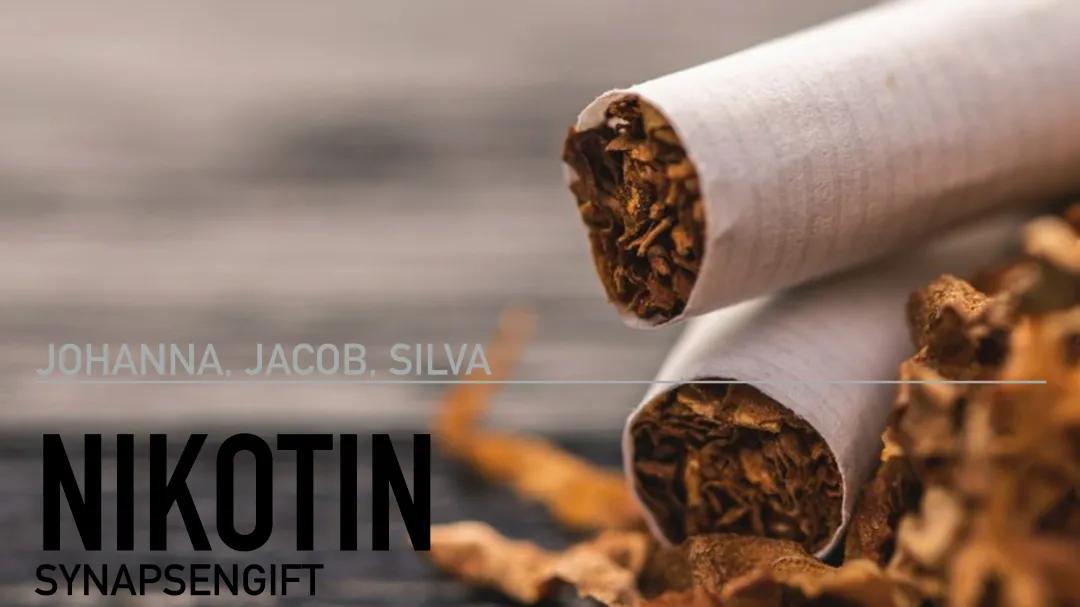 Nikotin Synapsengift Neurobiologie 