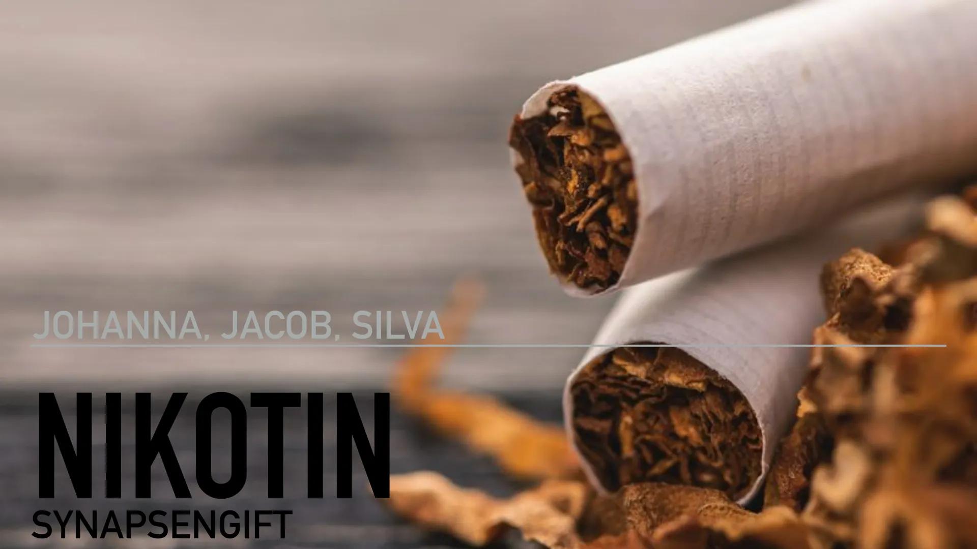 JOHANNA, JACOB, SILVA
NIKOTIN
SYNAPSENGIFT GLIEDERUNG
1. Allgemeine Informationen
2. Nikotin als Synapsengift
3. Physische Auswirkungen
4. P