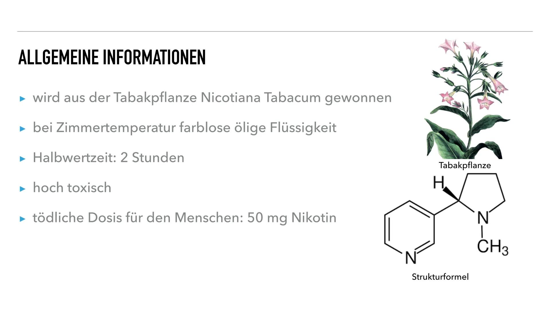JOHANNA, JACOB, SILVA
NIKOTIN
SYNAPSENGIFT GLIEDERUNG
1. Allgemeine Informationen
2. Nikotin als Synapsengift
3. Physische Auswirkungen
4. P