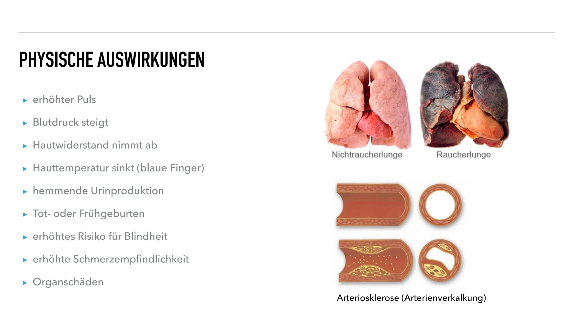 JOHANNA, JACOB, SILVA
NIKOTIN
SYNAPSENGIFT GLIEDERUNG
1. Allgemeine Informationen
2. Nikotin als Synapsengift
3. Physische Auswirkungen
4. P
