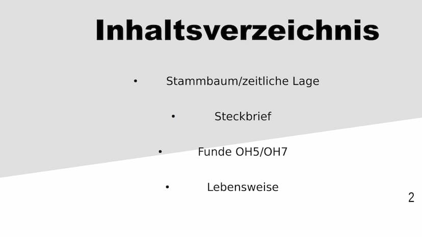 Homo habilis
1 Inhaltsverzeichnis
Stammbaum/zeitliche Lage
Steckbrief
Funde OH5/OH7
Lebensweise
2 Stammbaum/zeitliche Lage
4,5
A.
H. =
Austr