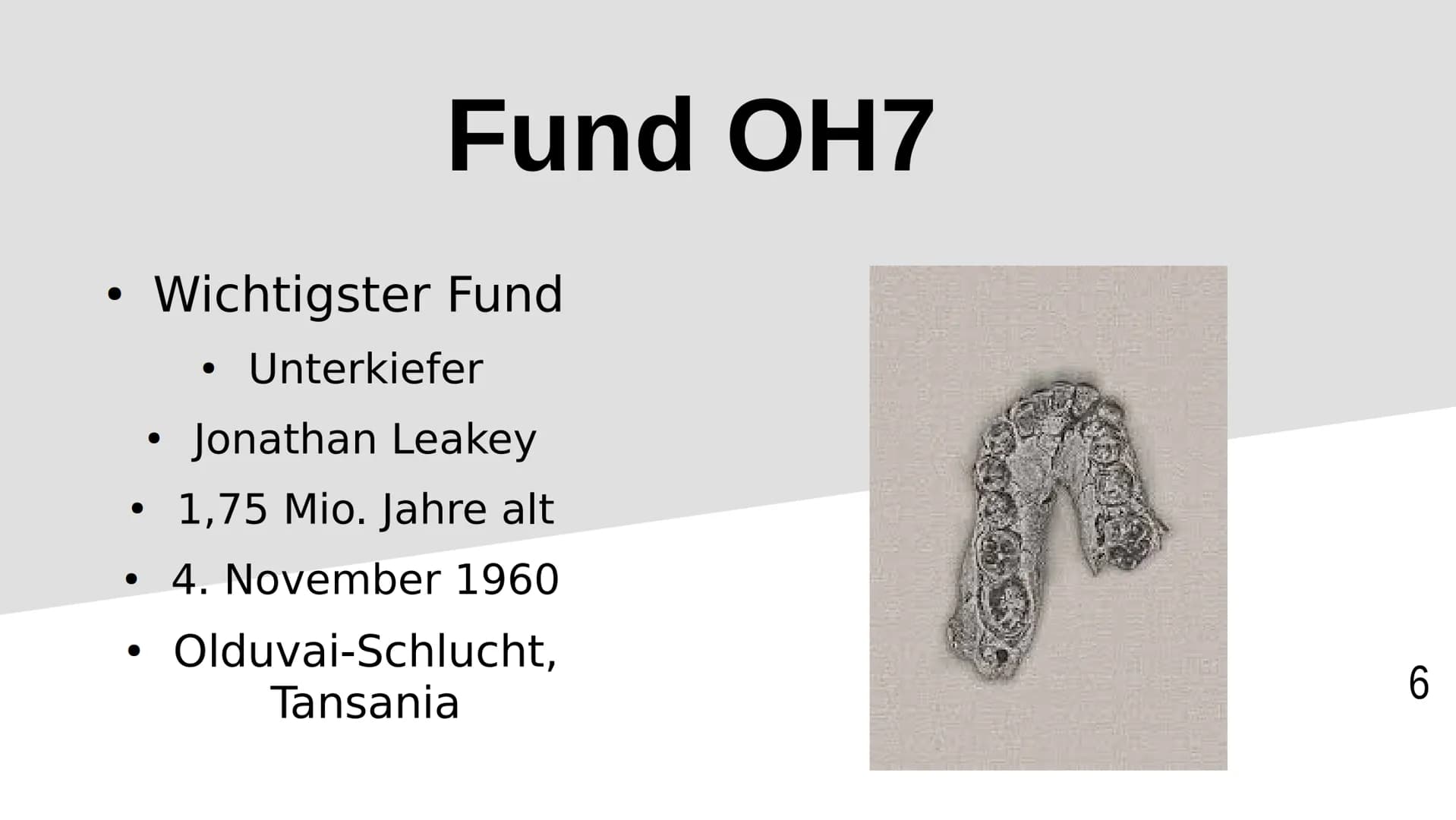 Homo habilis
1 Inhaltsverzeichnis
Stammbaum/zeitliche Lage
Steckbrief
Funde OH5/OH7
Lebensweise
2 Stammbaum/zeitliche Lage
4,5
A.
H. =
Austr
