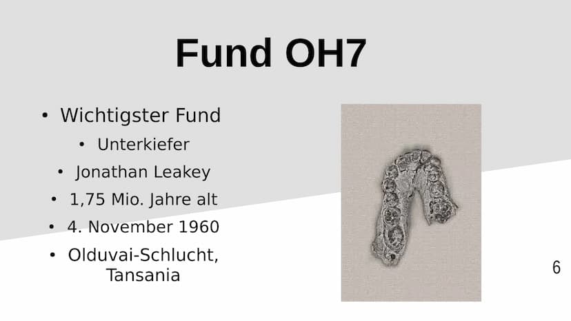 Homo habilis
1 Inhaltsverzeichnis
Stammbaum/zeitliche Lage
Steckbrief
Funde OH5/OH7
Lebensweise
2 Stammbaum/zeitliche Lage
4,5
A.
H. =
Austr