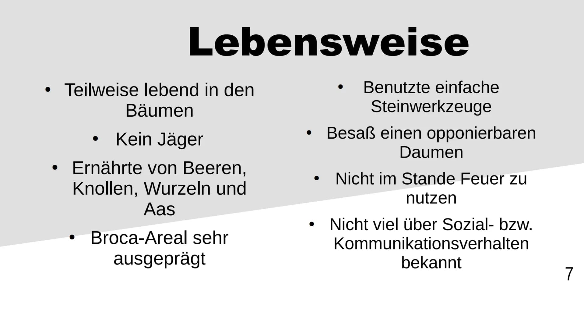 Homo habilis
1 Inhaltsverzeichnis
Stammbaum/zeitliche Lage
Steckbrief
Funde OH5/OH7
Lebensweise
2 Stammbaum/zeitliche Lage
4,5
A.
H. =
Austr