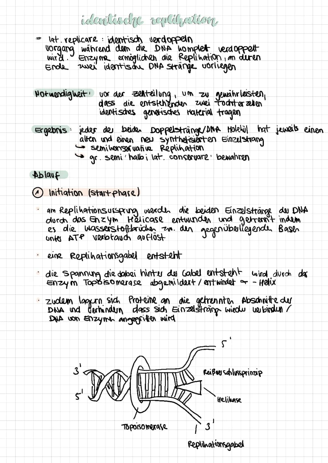 Identische Replikation