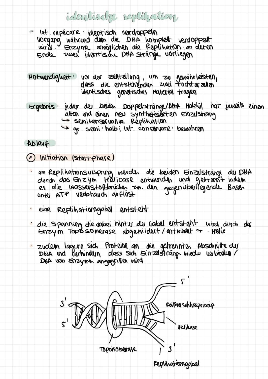 =
identische replikation
lat. replicare identisch verdoppeln
vorgang während dem die DNA homplett verd oppett
wird. Enzyme ermöglichen die R