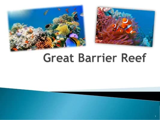 Know Great Barrier Reef  thumbnail