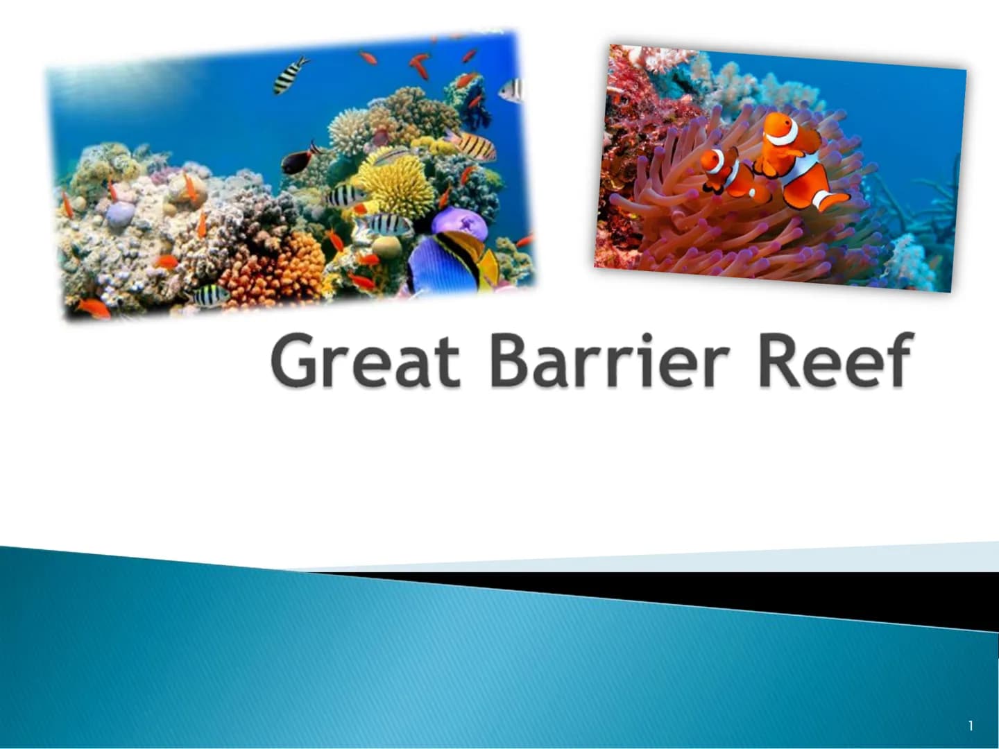Great Barrier Reef
1 Index
▸ General information
▸ Map
▸ History 1.1
Up to date
▸ Animals 1.1 - 1.2
- 1.2
▸ Coral species 1.1 - 1.2
▸ Proble