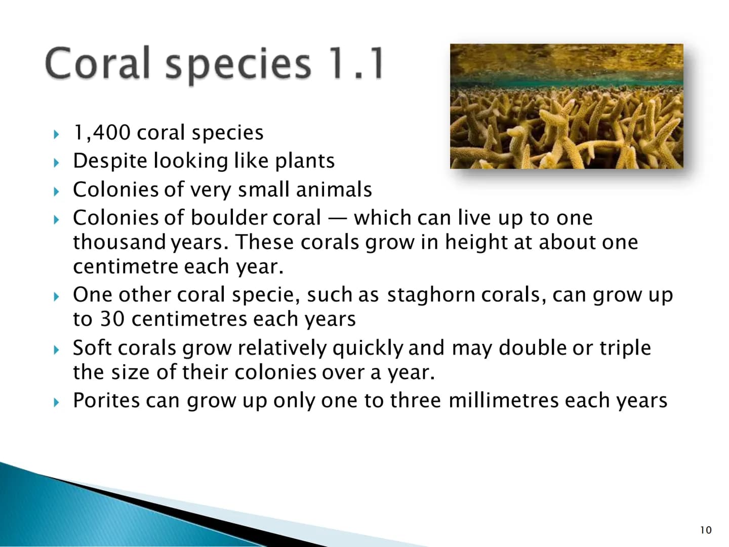 Great Barrier Reef
1 Index
▸ General information
▸ Map
▸ History 1.1
Up to date
▸ Animals 1.1 - 1.2
- 1.2
▸ Coral species 1.1 - 1.2
▸ Proble