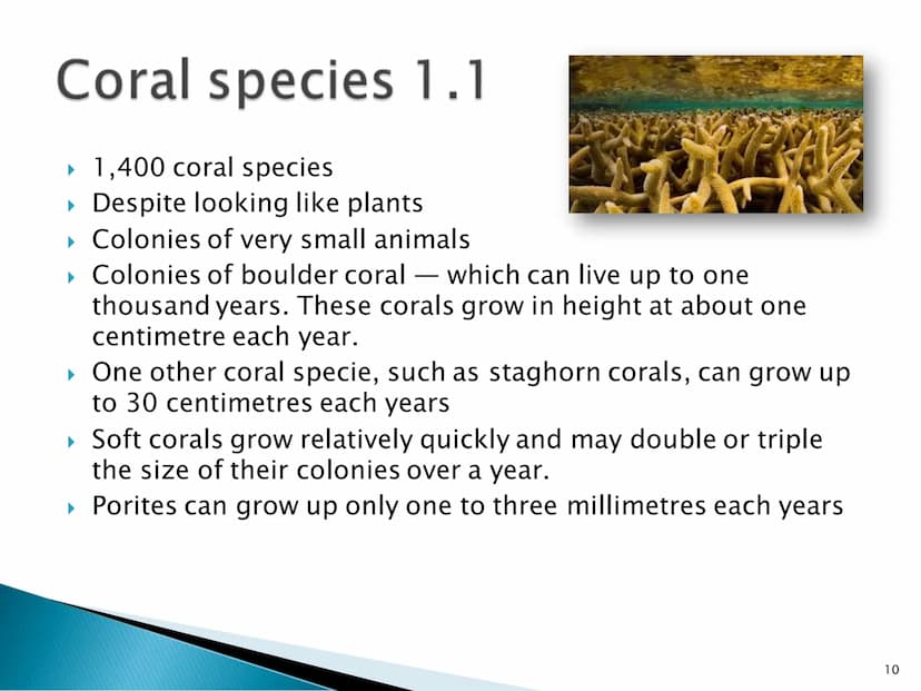 Great Barrier Reef
1 Index
▸ General information
▸ Map
▸ History 1.1
Up to date
▸ Animals 1.1 - 1.2
- 1.2
▸ Coral species 1.1 - 1.2
▸ Proble