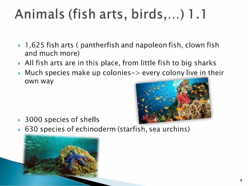 Great Barrier Reef
1 Index
▸ General information
▸ Map
▸ History 1.1
Up to date
▸ Animals 1.1 - 1.2
- 1.2
▸ Coral species 1.1 - 1.2
▸ Proble