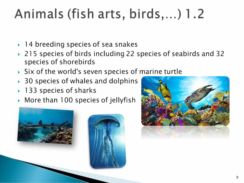 Great Barrier Reef
1 Index
▸ General information
▸ Map
▸ History 1.1
Up to date
▸ Animals 1.1 - 1.2
- 1.2
▸ Coral species 1.1 - 1.2
▸ Proble