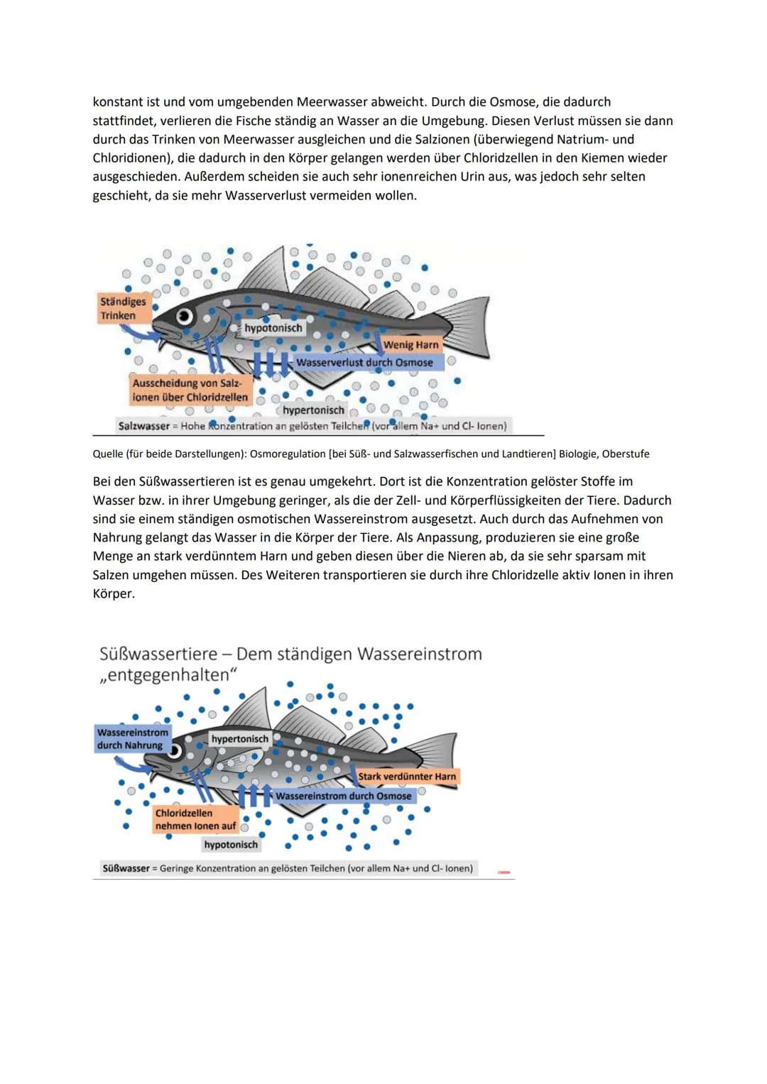 Biologie Kurzvortrag
Fachbegriffe:
Anpassung von Tieren an den Salzgehalt im Wasser
poikiloosmotisch: der osmotische Wert der Zell- und Körp