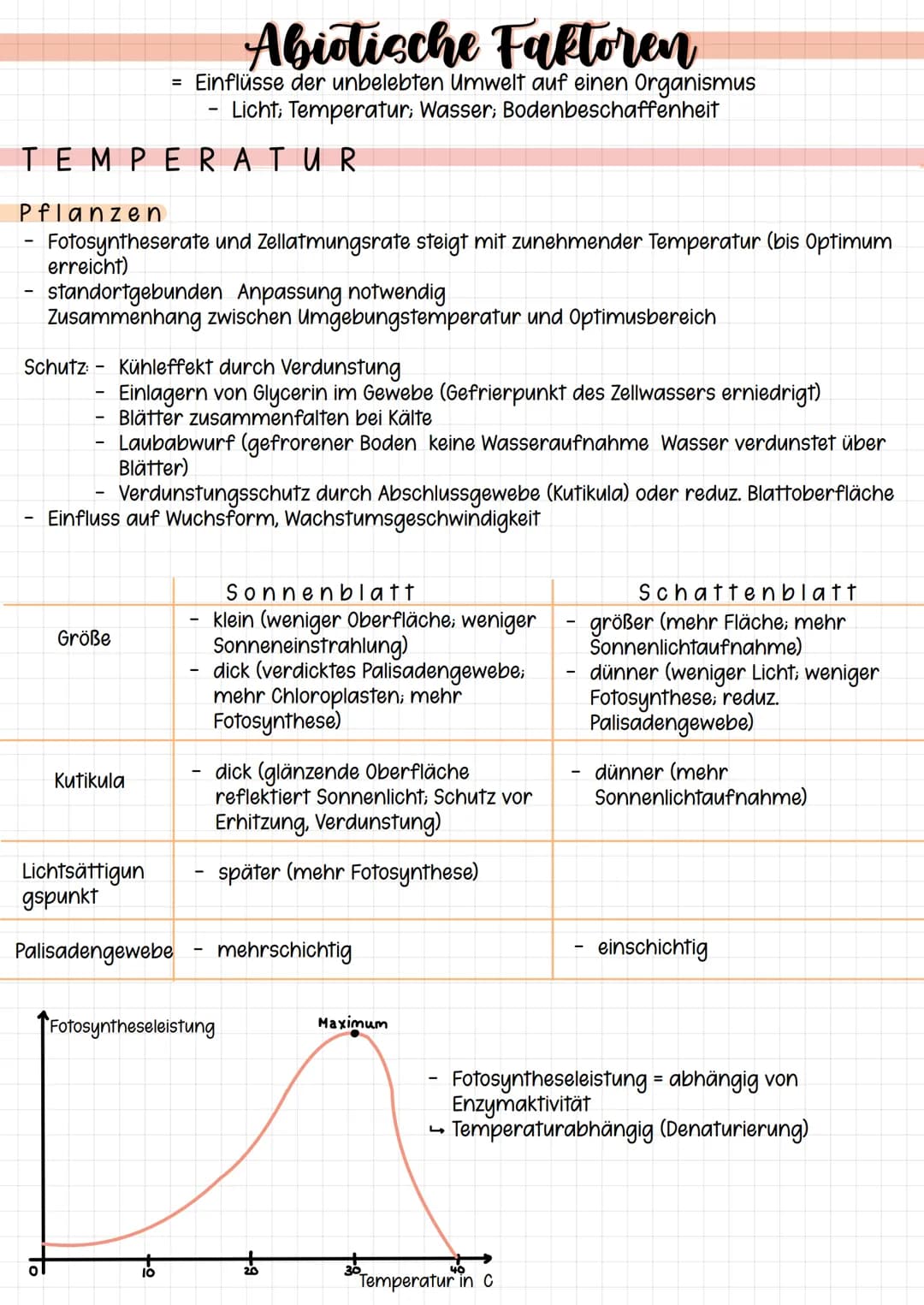 TEMPERATUR
Pflanzen
Fotosyntheserate und Zellatmungsrate steigt mit zunehmender Temperatur (bis Optimum
erreicht)
standortgebunden Anpassung