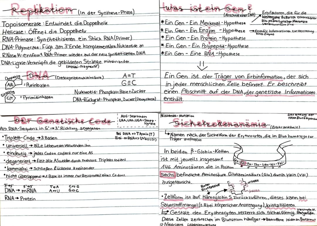 Einfache Erklärung der Proteinbiosynthese und Mutationen für Kinder