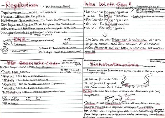 Know Proteinbiosynthese/Replikation thumbnail