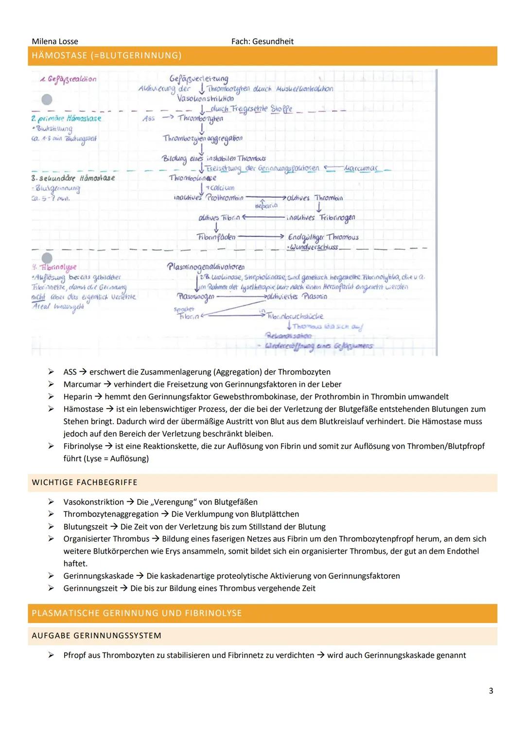 Milena Losse
ZUSAMMENSETZUNG & VOLUMEN DES BLUTES
BLUTPLASMA (55%)
Wasser (90%)
Plasmaproteine (8%)
Albumin (60%)
Globuline (40%)
Elektrolyt