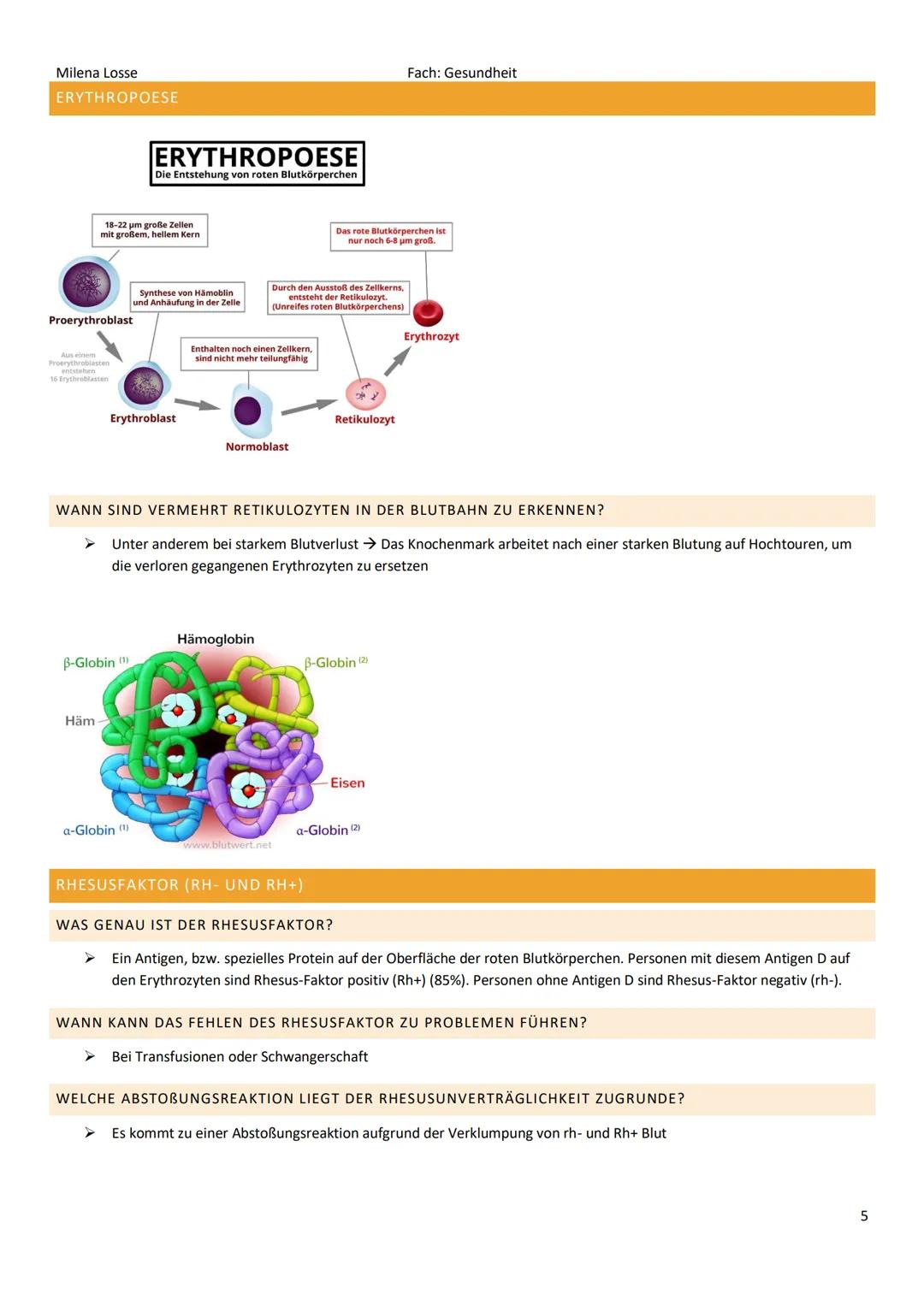 Milena Losse
ZUSAMMENSETZUNG & VOLUMEN DES BLUTES
BLUTPLASMA (55%)
Wasser (90%)
Plasmaproteine (8%)
Albumin (60%)
Globuline (40%)
Elektrolyt