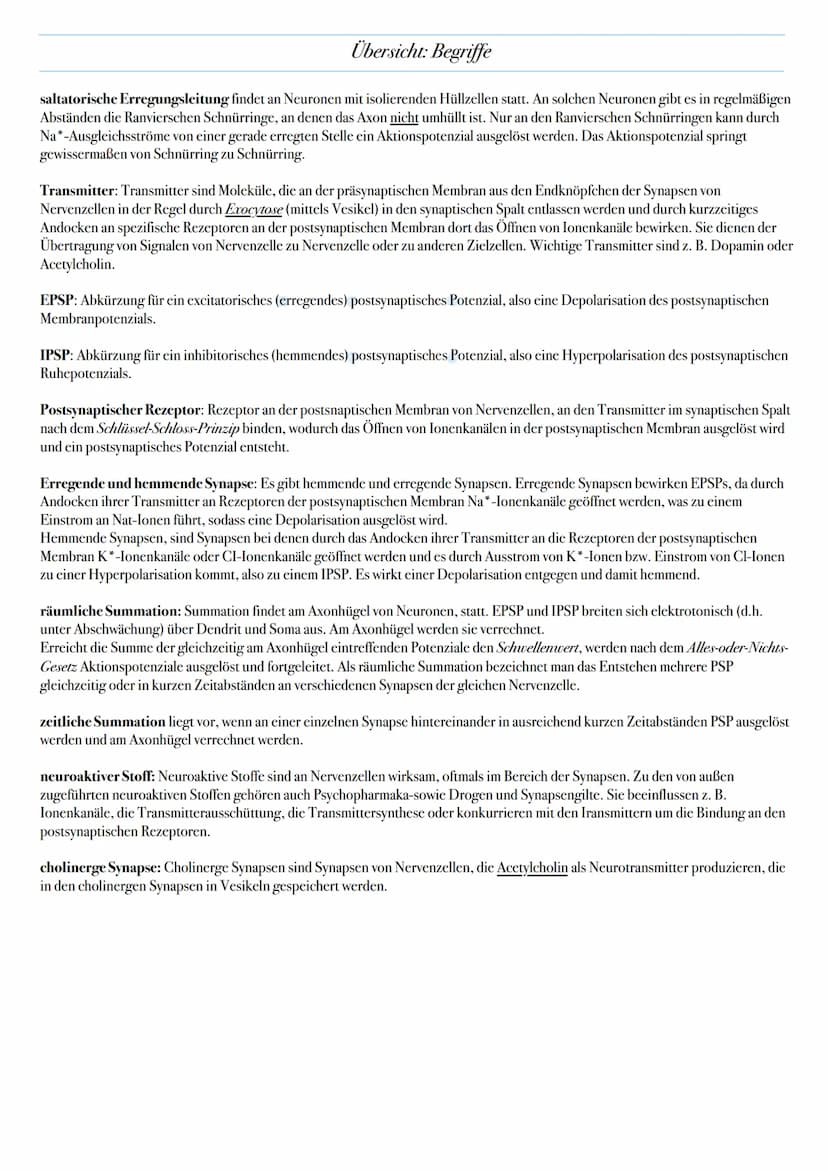 Übersicht: Begriffe
Neurone sind sperialisterte Zellen, die der Signalaufnhahme, Signalweiterleitung und Signalübertragung im Körper dienen.