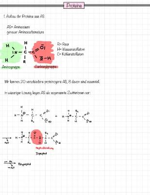 Know Proteine -Aufbau und Strukturen thumbnail