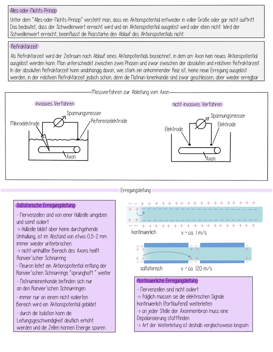 Themen
- Aufbau Einteilung des Nervensystems
- Aufbau einer Nervenzelle Funktionszuweisung
- Entstehung des Ruhepotentials
- Biomembran
- Ak