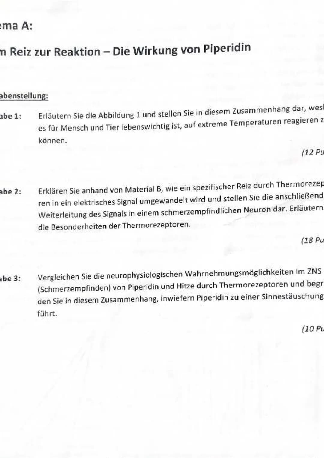 Neurobiologie  (original)