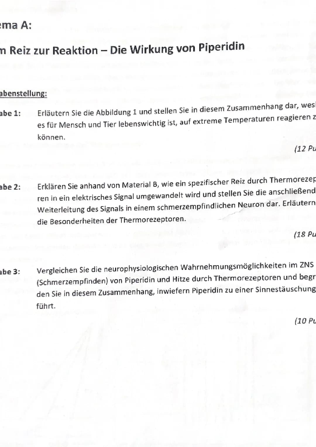 ema A:
m Reiz zur Reaktion - Die Wirkung von Piperidin
abenstellung:
abe 1:
abe 2:
abe 3:
Erläutern Sie die Abbildung 1 und stellen Sie in d