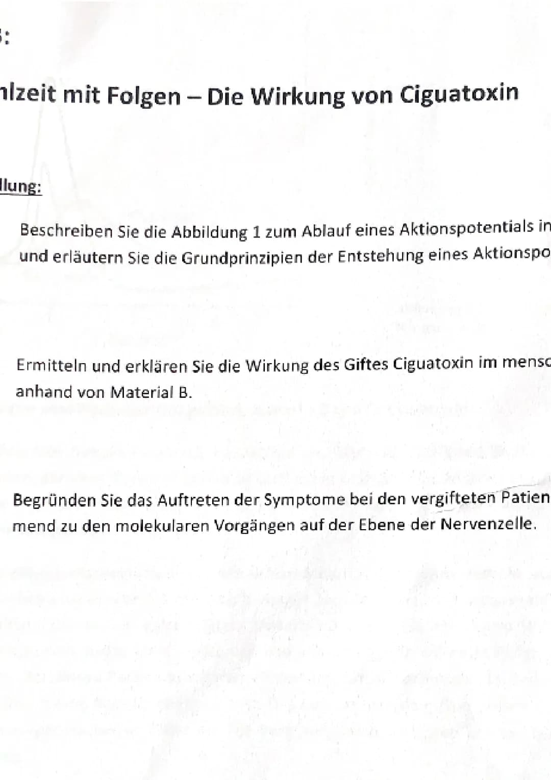 ema A:
m Reiz zur Reaktion - Die Wirkung von Piperidin
abenstellung:
abe 1:
abe 2:
abe 3:
Erläutern Sie die Abbildung 1 und stellen Sie in d