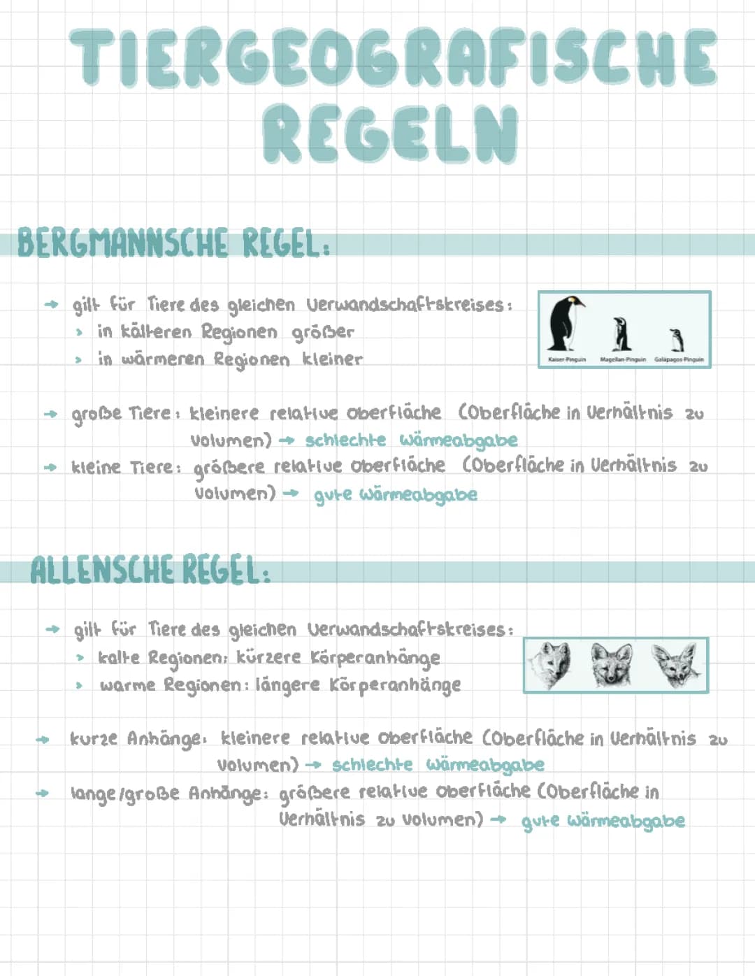 Bergmannsche & Allensche Regel