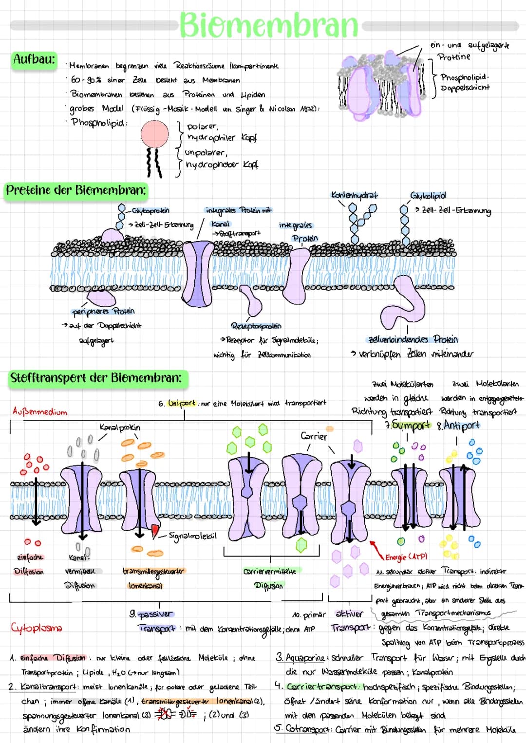 Biomembran 