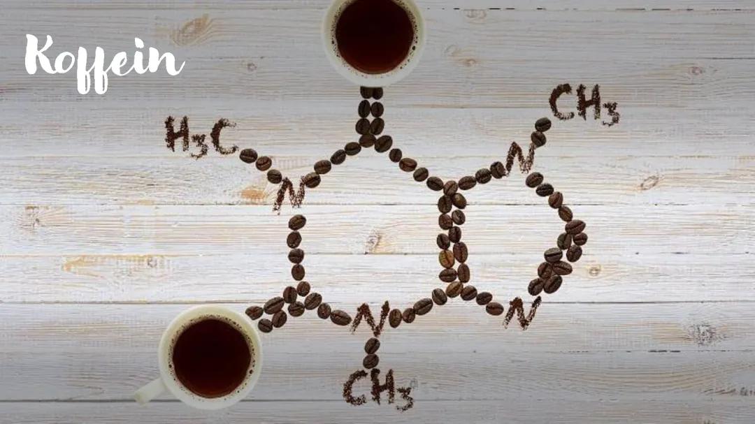 Koffein: Nervengift oder Wunderwaffe? Die Wirkung auf dein Nervensystem erklärt